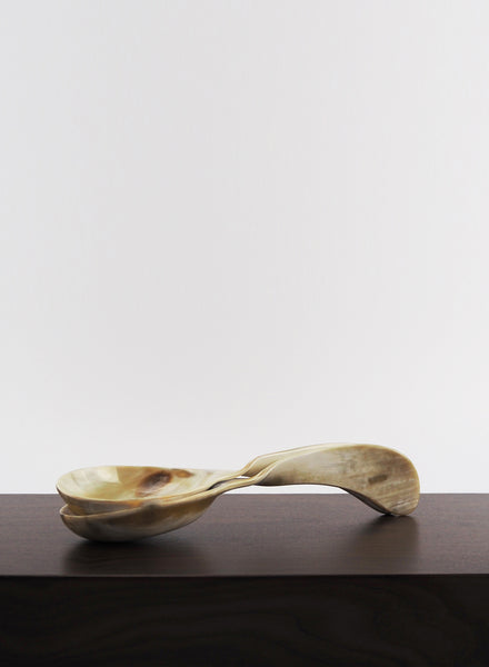 Pair of Horn Salad Spoons - Front