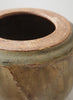 Faceted Tea Jar with Hornbeam Ash Glaze - 5