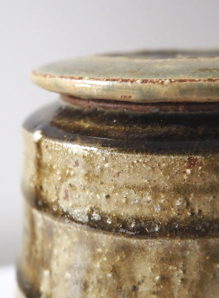 Ridged Tea Jar with Hornbeam Ash Glaze - 3