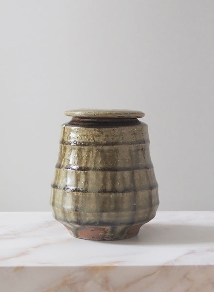 Ridged Tea Jar with Hornbeam Ash Glaze - 1