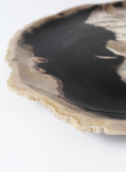 Large Petrified Wood Plate - close up 1