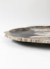 Large Petrified Wood Plate - close up 2