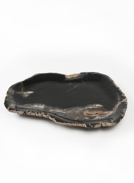 Medium Petrified Wood Plate - side