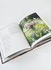 From Seed to Bloom - Hardback Book - Quadrille Publishing - 4