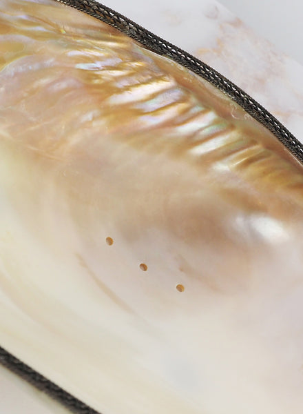 Antique Mother of Pearl Shell Trinket Dish - detail 2