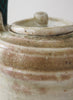 Paddled Tea Pot with Garden Hose Handle - 5